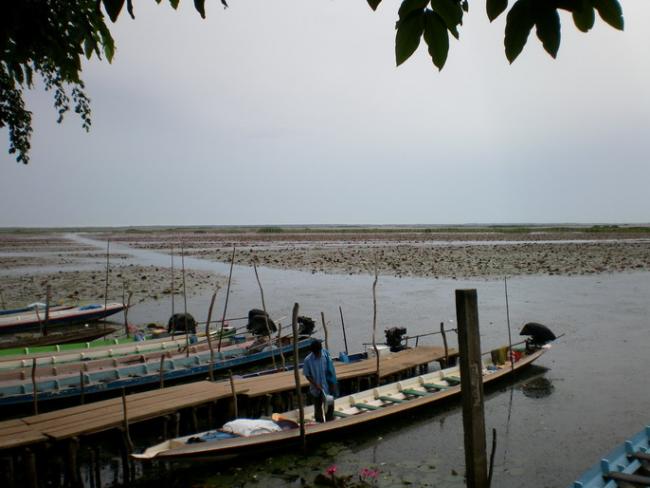 SANY7394.jpg